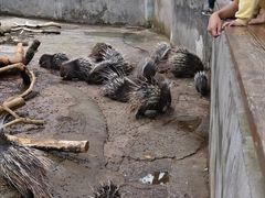 -昆明动物园