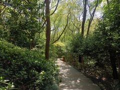 -杭州半山国家森林公园