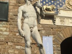 -圣母百花大教堂穹顶