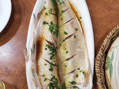 清蒸鲜白鱼-西新饭店(城中店)