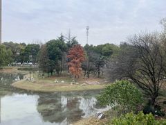 -堤角公园