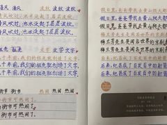 -缤纷鸟美术书法(建大校区)