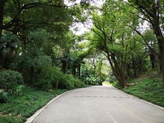 -蜀冈西峰生态公园