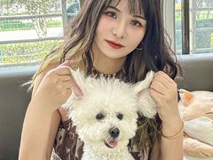 -pd派德宠物中心医院24H急重症·眼科中心·血液透析中心(嵩山北路店)