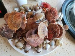 -港畔赶海蒸汽海鲜烧烤自助(仙螺岛店)