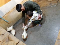 -昆明大悦城未来动物城(螺蛳湾中心店)