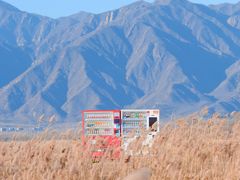 -野鸭湖国家湿地公园