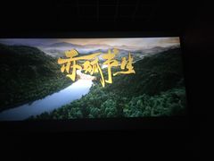 -汉阳天河电影城(王家湾店)