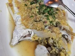 姜蓉蒸剂鱼-八仔大富楼·河鲜(西江店)
