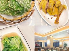 -紫藤园·天目湖大鱼头(南山竹海店)