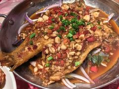 -龙师傅卤炒(天马店)
