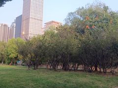 -中央公园(苏州工业园区)