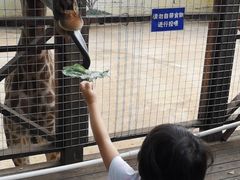 -昆明动物园