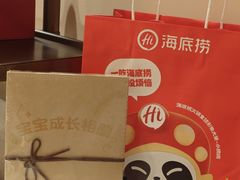 -海底捞火锅(吾悦国际广场店)