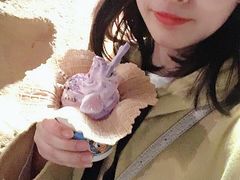 -IL paperino帕帕里诺冰激凌