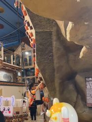 -卡通尼·Safari非洲探索乐园·生日会(金桥国际商业广场店)