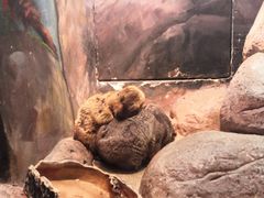 -福州罗源湾海洋世界旅游区