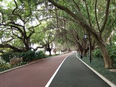 -南宁南湖公园