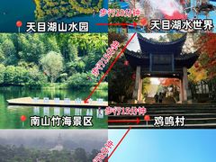 -紫藤园·天目湖大鱼头(南山竹海店)
