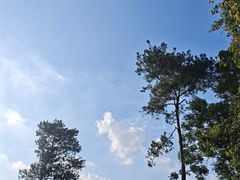-黄埔油麻山森林公园