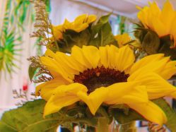 -杨丹国际美学肌研所