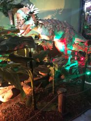 -恐龙探索乐园(磁器口店)