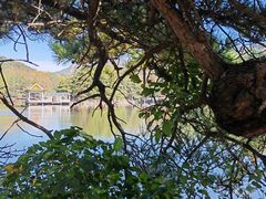 -庐山风景区花径公园