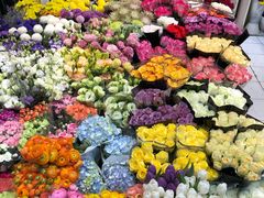 -双季花艺园艺市场(浦东店)