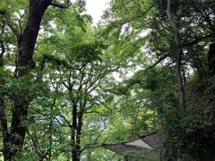 -大罗山风景区