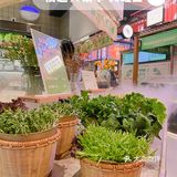 鱼和蛙可以兼得！！