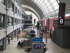 -上海市第一人民医院(松江南部)