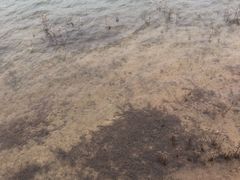 -仙海旅游度假区