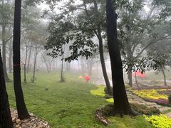 -沂蒙山旅游区云蒙景区(蒙山国家森林公园)