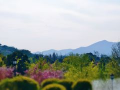 -雅达·阳羡溪山小镇中心