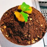 🔥人均99也能吃到的和牛烤肉｜焱·浪大王烤肉