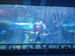 -泉城欧乐堡海洋极地世界