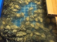 -青岛蓝海大饭店·爱琴海自助餐厅(崂山店)