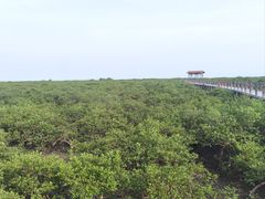 -北海金海湾红树林生态旅游区