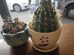 -卡滋贝诺(步行街店)