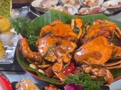 -辉记炭烧海鲜大排档·老字号(福田店)