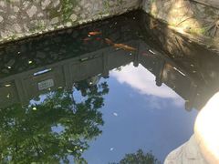 -墨池公园