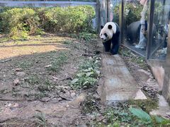 -黔灵山公园