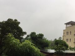 -大屏嶂森林公园