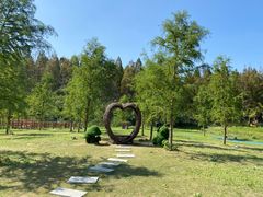 -黄海国家森林公园