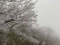 -紫金山索道-售票处