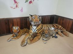 -果松木炭酸菜铜火锅·外婆参鸡汤