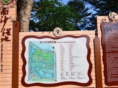 -大湾区中央湿地公园