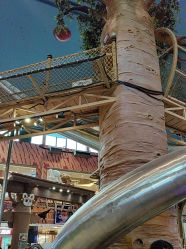 -卡通尼·Safari非洲探索乐园·生日会(金桥国际商业广场店)