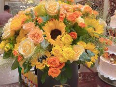 -燕春楼(海河华鼎店)