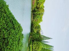 -宜兴龙背山森林公园